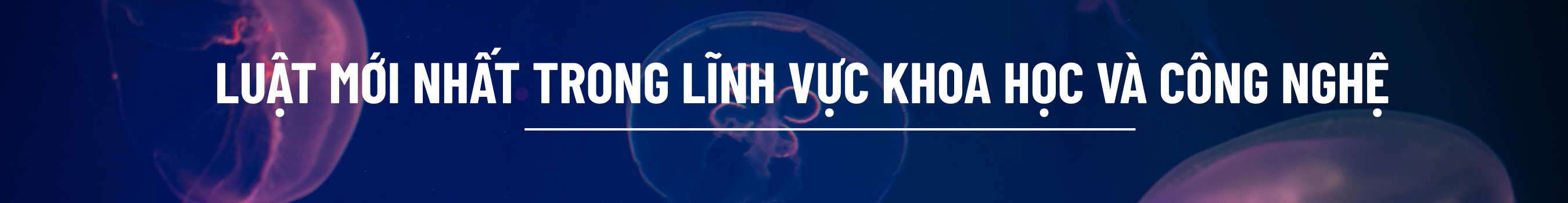 Luật KH&CN