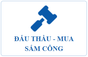 dau thau mua sam cong.png