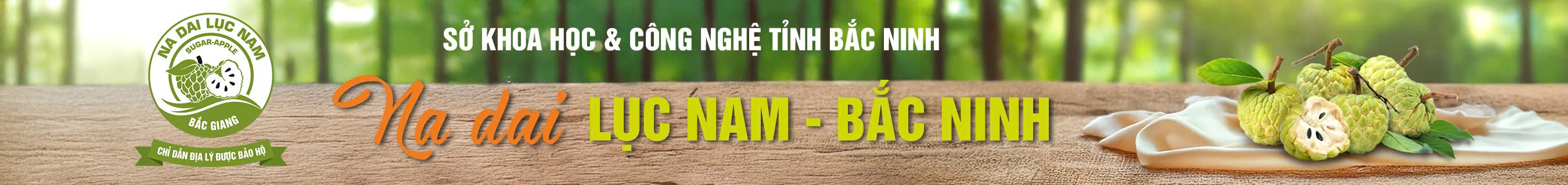 nadai.jpg